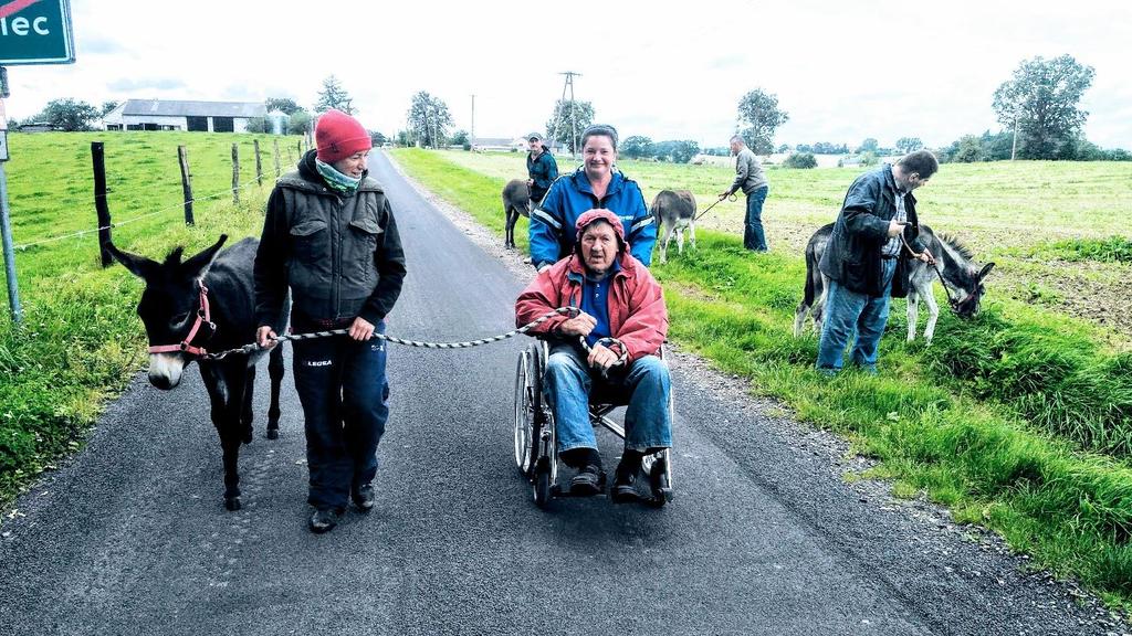 Gospodarstwa opiekuńcze w KP Jesienią 2016 roku zostało wybranych 15 gospodarstw