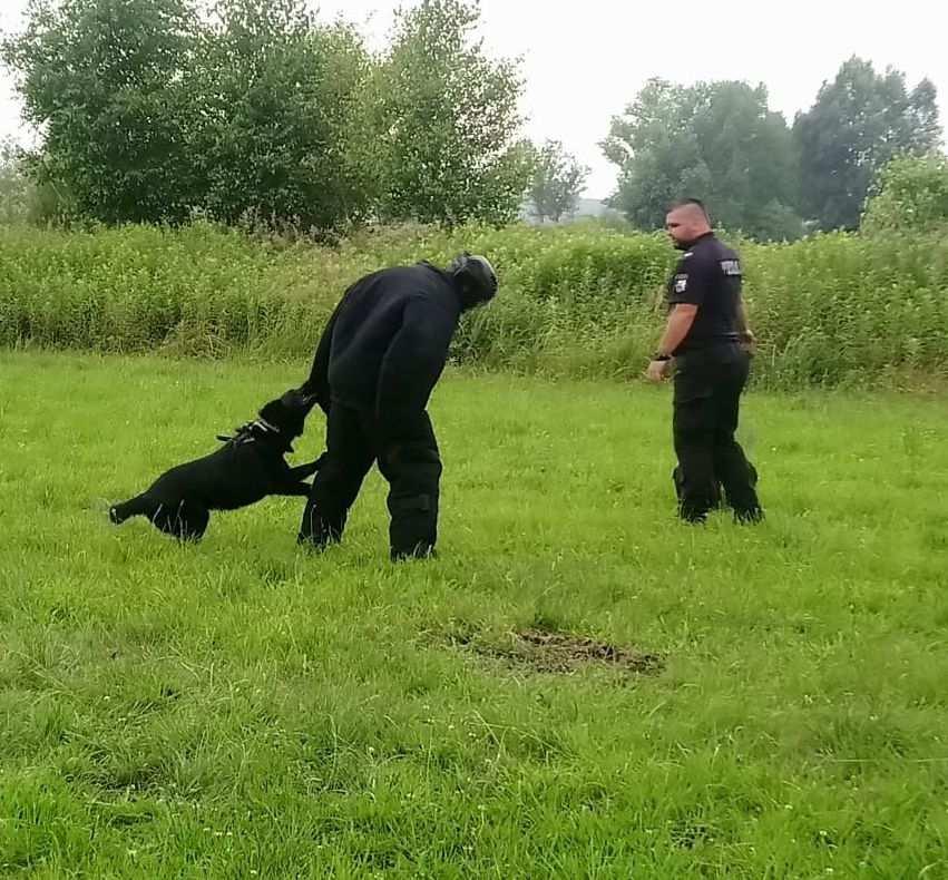 Łącznie w konkursie wystartowało 10 zespołów przewodników wraz z psami służbowymi.