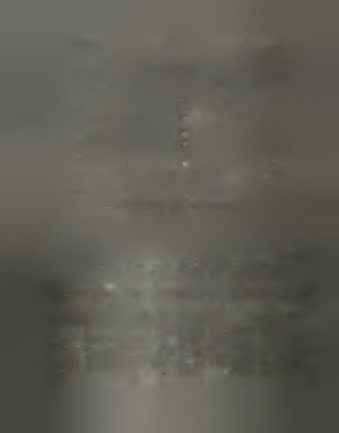 względem l i n i i A u 4f 7/a (B E = 8 4.0 e V ). W n a w ia s a c h podano w a r to ś c i s z e ro K o ś c i polów K ow ych.