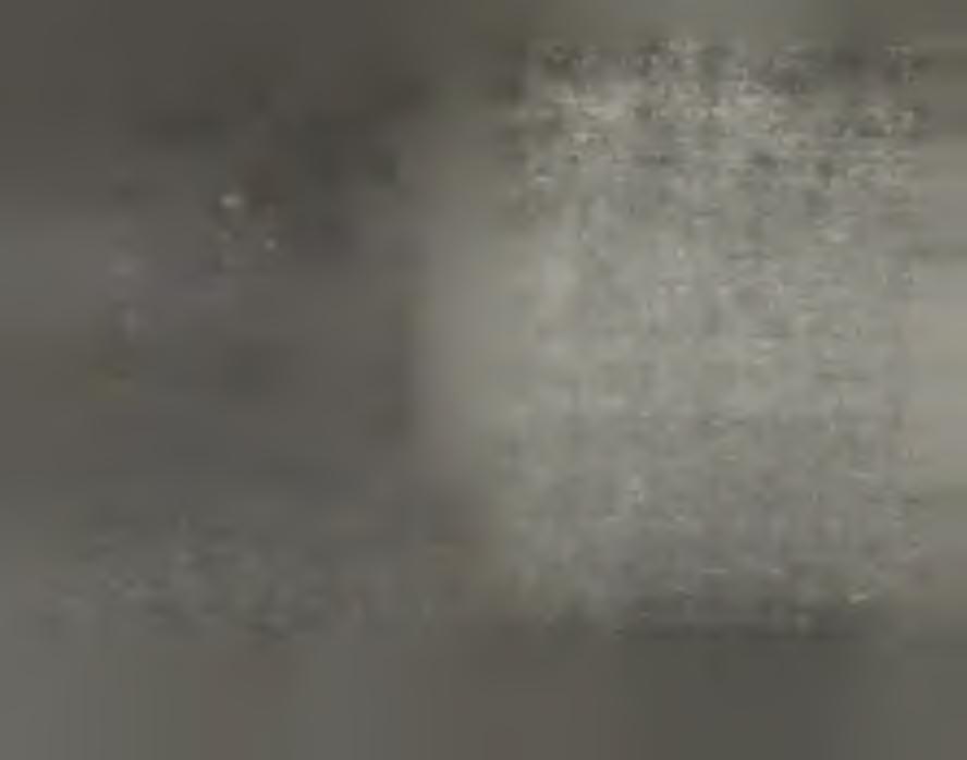 IRAS re fle c tio n sp e c tra o f th e methyl x a n th a te ad sorp tio n la y e r (concen tration 6*10*3 mol/dm3, ph 6.3-6.7) a f t e r d i f f e r e n t a d s o r p t io n time: a. 10 seconds; b.