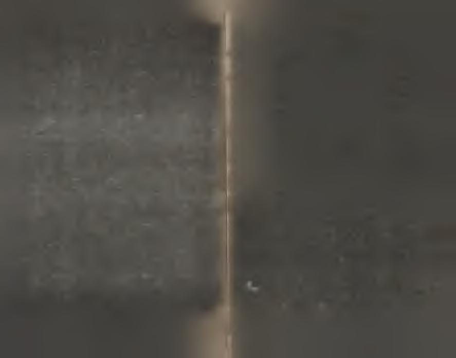 P rz y p o k r y c iu w ie lo w a rs tw o w y m (p o w y te j 3 m on o w a rstw ) tw o r z y s ię fo rm a k r y s t a lic z n a o s t r u k t u r z e s tr a c o nego e ty lo w e g o k s a n to g e n