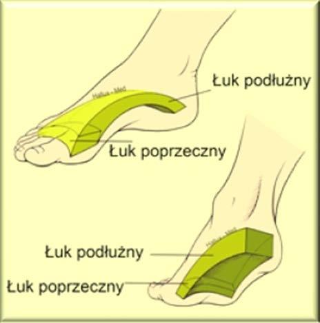 jpg [Dostęp 17.06.2018] Źródło: Woźniacka R, Bac A, Matusik S, Szczygieł E, Ciszek E.