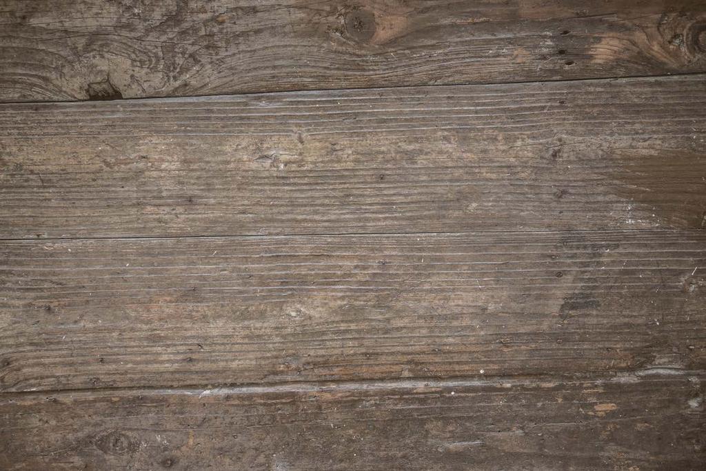 DZIKOWISKO AGROTURYSTYKA i KONIE na Roztoczu Wschodnim Dzikowisko Agroturystyka i Konie