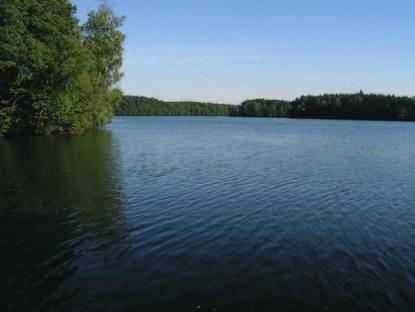 Przechodzimy w tym miejscu pod mostem lub przez tory i dalej poruszamy się wzdłuż wąskiej części zalewu wśród ładnego grądu, początkowo brzegiem, później wzdłuż krawędzi doliny.