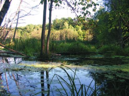 Dawniej było tu kąpielisko z plażą, z którego często korzystali mieszkańcy Osia i okolic. Plaża została zabrana przez wodę. Rozciąga się stąd widok na najszerszą część Zalewu Żurskiego i wyspę Maderę.