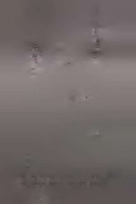 rzem ień nieoznaczony, przepalony. R ys. E.