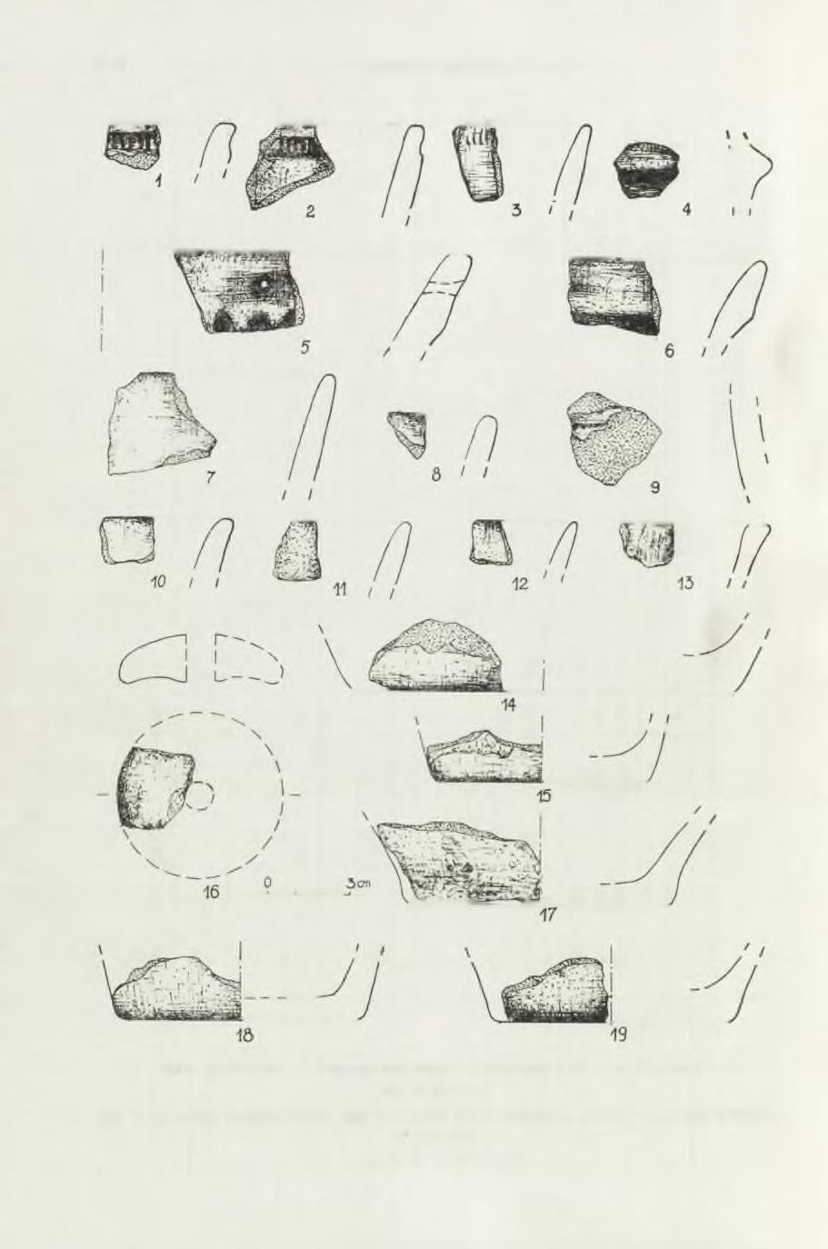 106 A N D R Z E J BRONICKI Ryc. 13.
