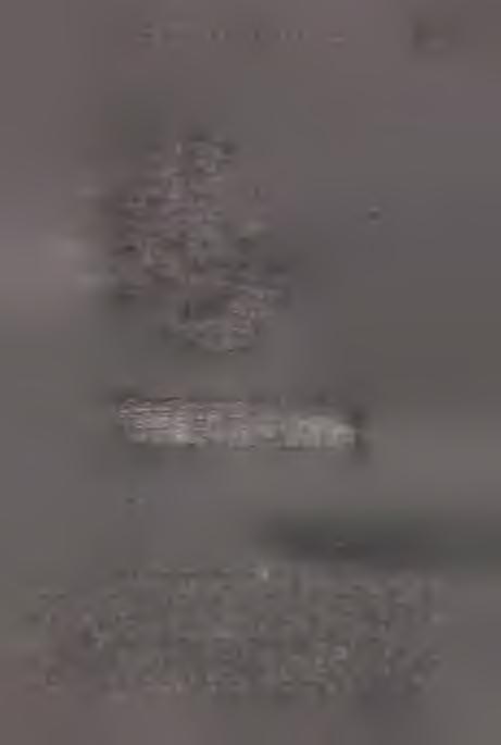 śla d y k o n ta k tu z ogniem ; 3 le ss jasn o- ż ó łty, c a lco w y ; 4 gran ica p raw d opod ob n ego z arysu jam y w c z ęści zn iszczo n ej p ó źn iejszy m w k o p em ; 5 gra n ica w k o p