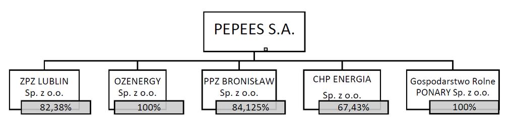 3. Struktura Grupy Kapitałowej na dzień 31 marca 2018 r. Ogólne informacje dotyczące podmiotów powiązanych ZPZ LUBLIN Sp. z o.o. OZENERGY Sp. z o.o. Nazwa Siedziba Przedmiot działalności Sąd Rejestrowy PPZ BRONISŁAW S.
