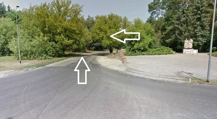 Fot. 14. Roślinność znajdująca się w skrajni drogi na ulicy Kuźnickiej.