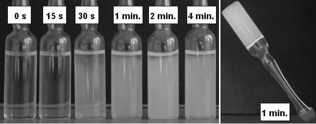 17 Sonochemiczna synteza trwałych hydrożeli 35 0.