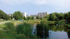 Są to nasze wspólne pieniądze, które z powodzeniem mogłyby być wykorzystane w całkiem innym celu.