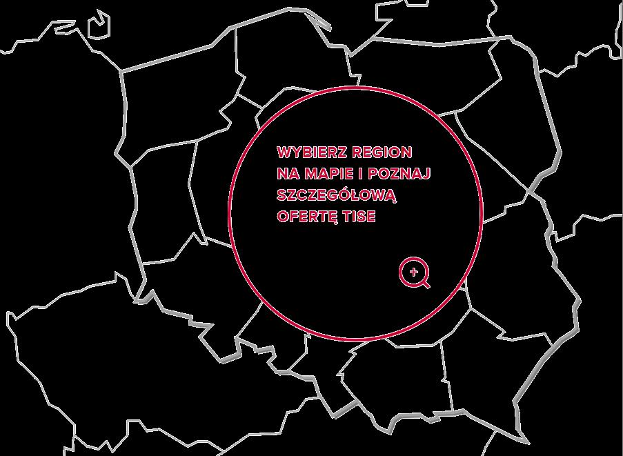 Oferta TISE Portfolio: 1. Pożyczki dla MŚP: 10 pożyczek regionalnych (fundusze UE) 2 ogólnokrajowe pożyczki (fundusz własny) 2.