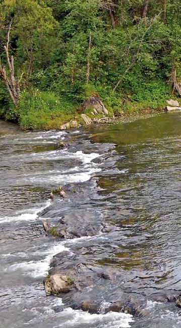 zl. 160,5 km 2 ). Wetlina za pośrednictwem Solinki uchodzi do Jeziora Solińskiego.