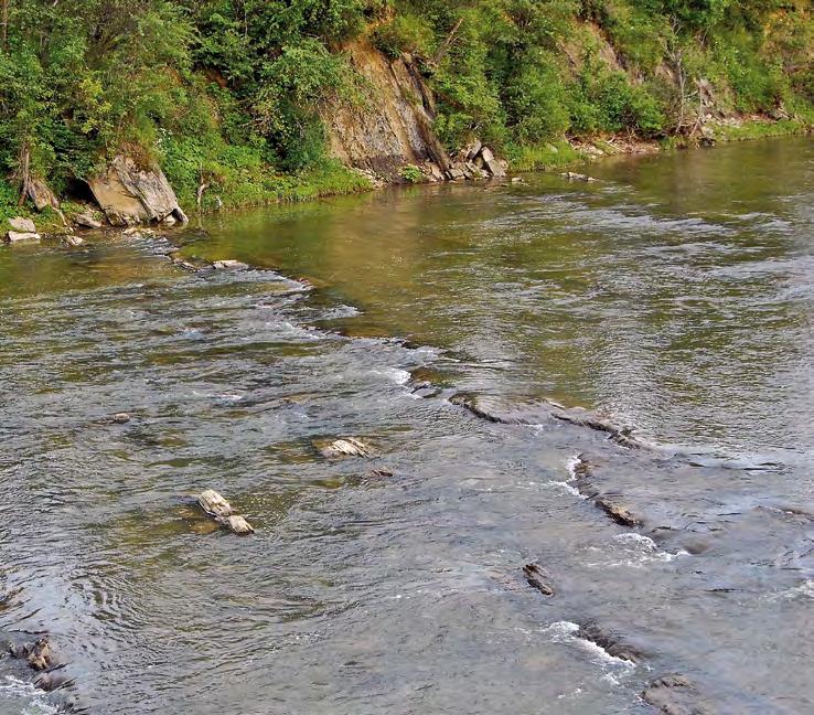 ków pomiarowych obejmująca pomiary piezometryczne na torfowiskach, a także pomiary limnimetryczne na Wołosatce, Prowczy i górnej Solince (Łajczak i in. 2010).
