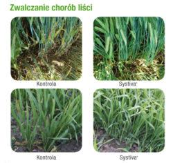.pl https://www..pl przy pominięciu zabiegu T1.