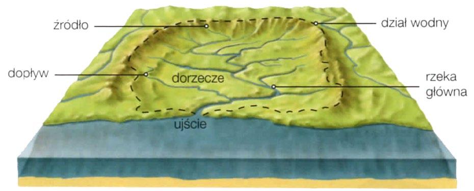 Granica rozdzielająca obszary, z których wody spływają do dwóch sąsiednich dorzeczy (lub zlewni), określana jest jako DZIAŁ