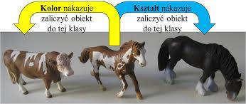 Biometria WYKŁAD 7: ROZPOZNAWANIE I KLASYFIKACJA OBIEKTÓW