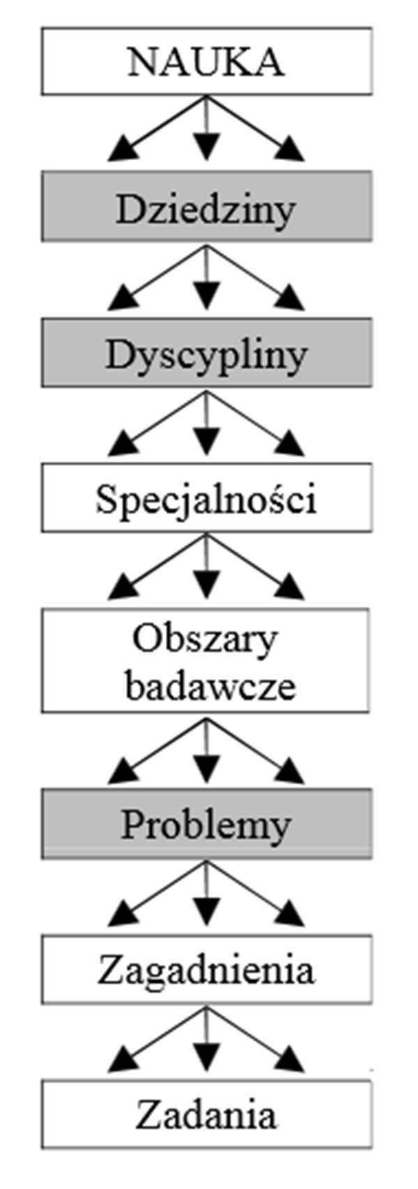 Rudolf Michałek, Maciej Kuboń Rysunek 1. System hierarchiczny nauk 248 Do niedawna brak było definicji dziedziny jako części struktury nauki.