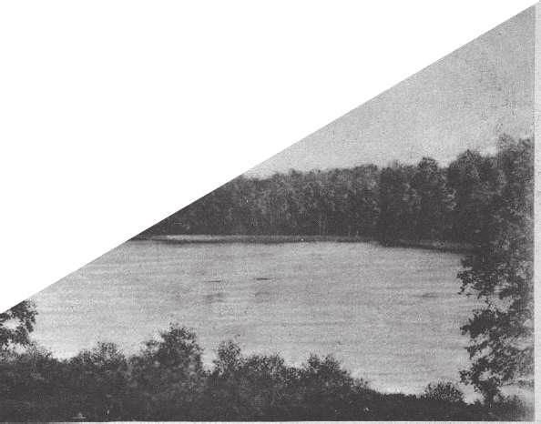 IV X 5 6 WUJEK GOOGLE TWIERDZI: GÓRA ZNACZY BERG ZAMEK ZNACZY SCHLOSS SZUKAJ MIEJSCA TEGO ZADANIA NA MAPIE GŁÓWNEJ POMIĘDZY PUNKTAMI IV V / 4-5 Forst z niemieckiego las państwowy Haus z niemieckiego