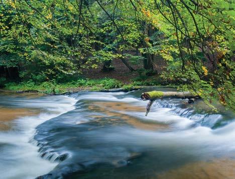 Rezerwaty przyrody REZERWATY PRZYRODY POWIATU TOMASZOWSKIEGO Czartowe Pole, na jego terenie znajduje się naturalny odcinek potoku Sopot wraz z malowniczymi wodospadami.