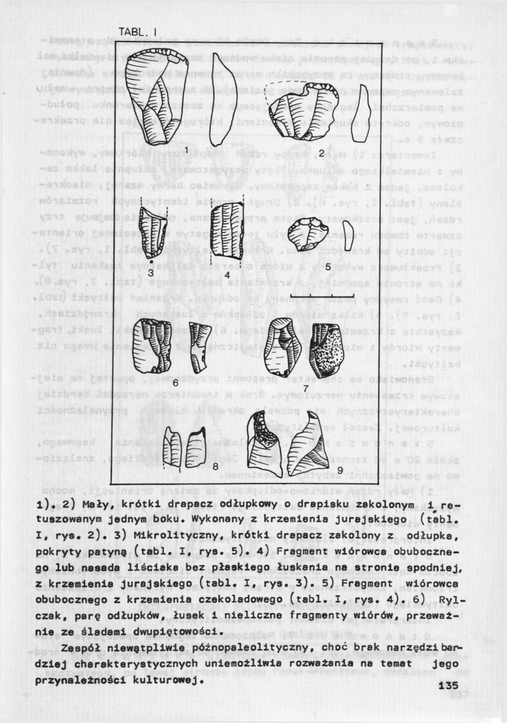 TABL. I l). 2) Mały, krótki drapacz odłupkowy o drapisku zakolonym i retuszowanym jednym boku. Wykonany z krzemienia jurajskiego (tabl. I, rys. 2). 3) Mikrolityczny, krótki drapacz zakolony z odłupka, pokryty patynę (tabl.