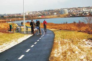 Autorom badañ zaleýaùo by ankietowani oceniali typ infrastruktury, a nie ukazane na fotografii miejsce, które mogùo mieã jakieú swoje wady zwiàzane np. z bùædnym wykonaniem.