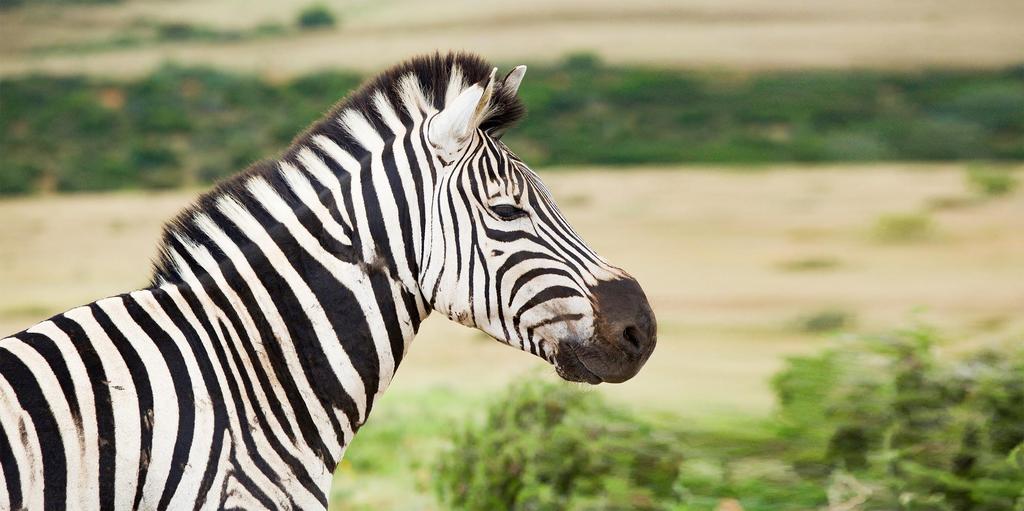 Botswana NAJWIĘKSZY REZERWAT