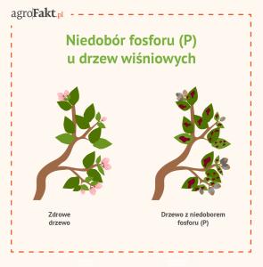 .pl Intermag w swojej ofercie posiada 2 produkty, które pomogą temu zaradzić.
