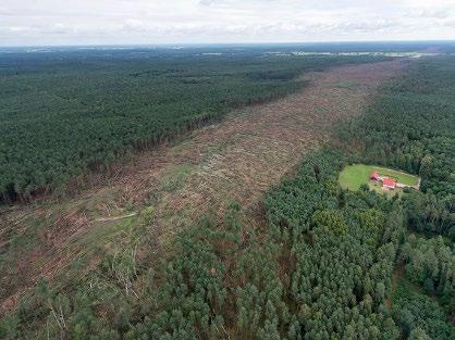 W Polsce statystycznie praktycznie każdego