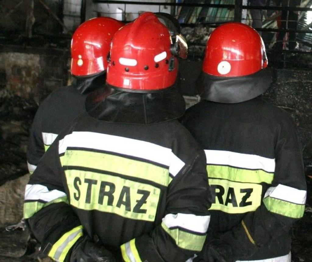 pomóc koledze