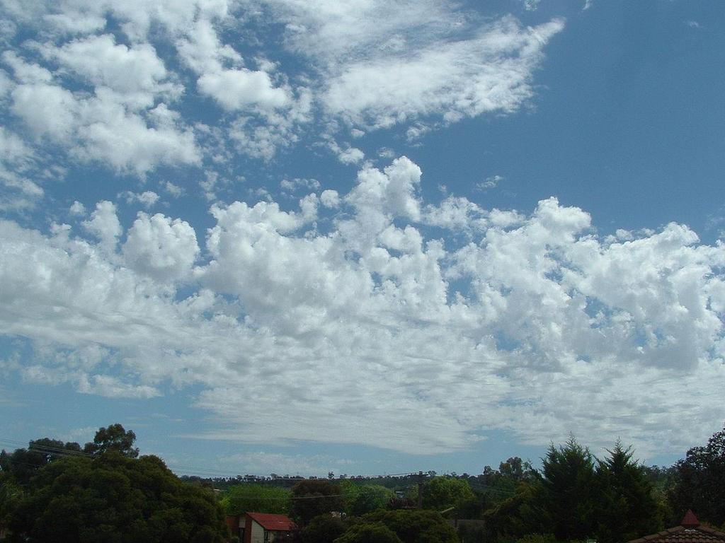 Altocumulus Castellanus (Ac Cas) Pojawienie się tej chmury świadczy o występowaniu konwekcji, a więc niestabilności w atmosferze.