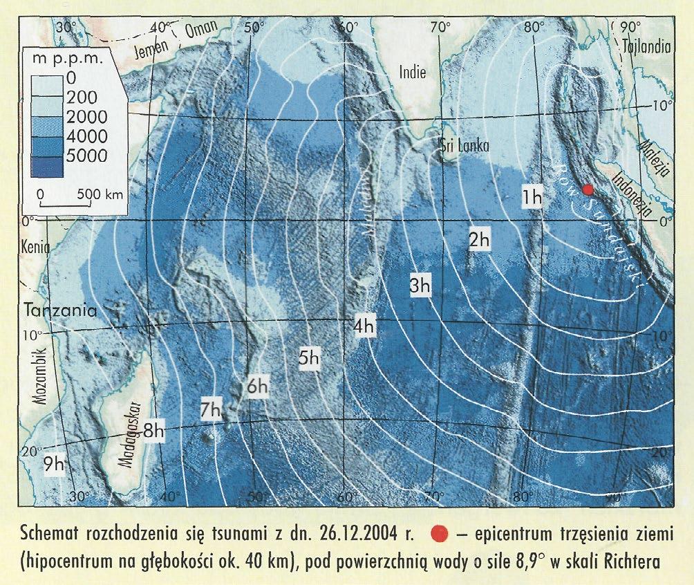 Dopiero na obszarach przybrzeżnych tsunami wyhamowuje na skutek tarcia o dno i spiętrza się, osiągając wysokość do 50 metrów.