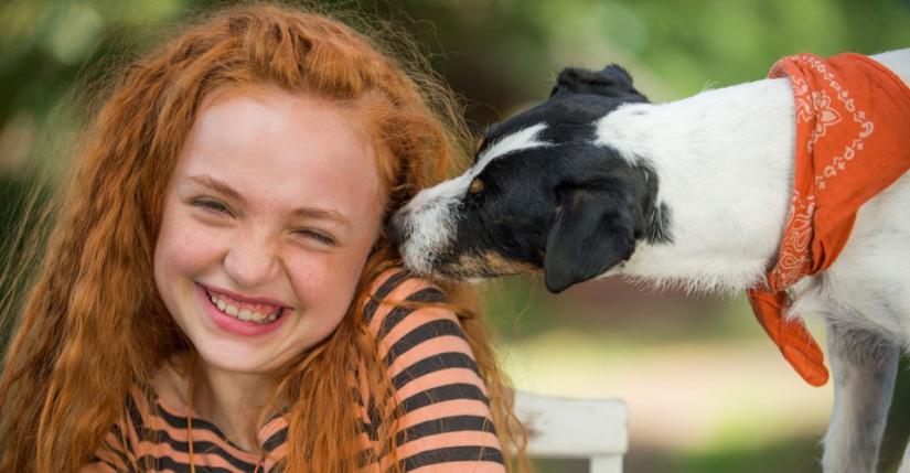 LUTY Liliana Pędziwiatr 11-letnia Liliana potra rozmawiać ze zwierzętami! Jest to jednak wielka tajemnica, o której nikt nie powinien wiedzieć, poza rodzicami.