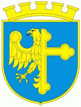 Streszczenie Programu ograniczenia niskiej emisji dla miasta