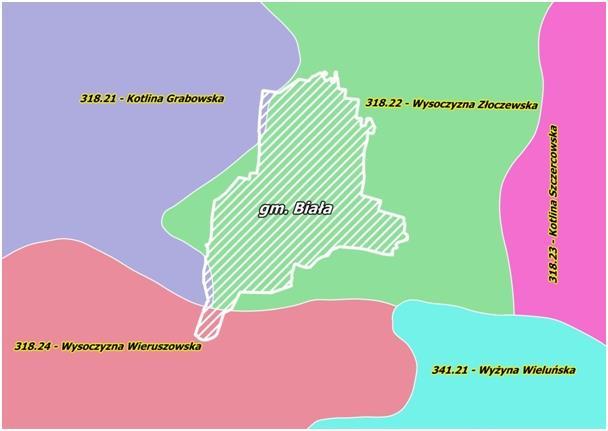 Rysunek 3. Położenie Gminy Biała pod względem regionalizacji fizyczno-geograficznej Polski Źródło: opracowanie własne na podstawie danych z Państwowego Instytutu Geologii 4.