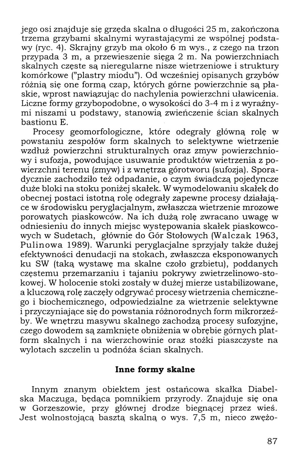 jego osi znajduje się grzęda skalna o długości 25 m, zakończona trzema grzybami skalnymi wyrastającymi ze wspólnej podstawy (ryc. 4). Skrajny grzyb ma około 6 m wys.