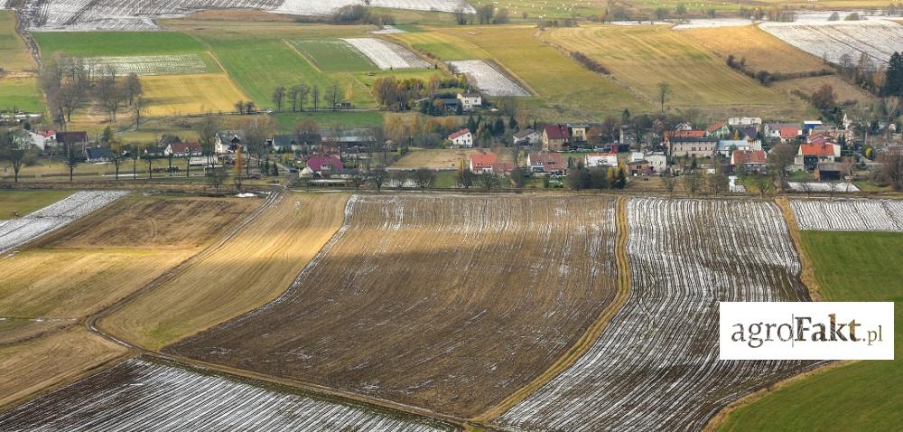 https://www. Rolnicze podsumowanie 2016: trudny rok dla branży Autor: agrofakt.