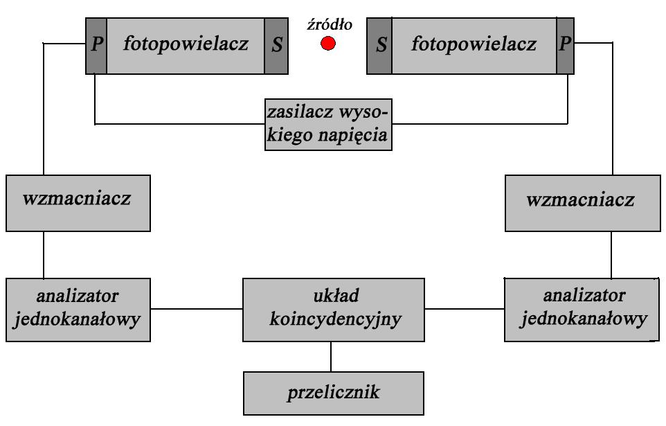 kryształem NaJ(Tl) (oznaczone na rysunku 2 jako S), wyposażone w fotopowielacze oraz odpowiednie dzielniki napięcia (P).