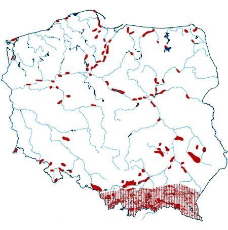 Osuwiska W Karpatach udokumentowano