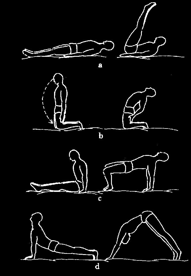 Exercises for your Project 1 2 3 4 Cel Rynek Strategia Umiejętności 23