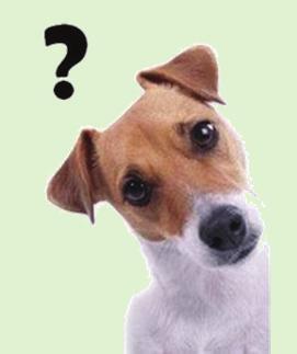 7.3. L auteur du texte A. invite à acheter un chien. B. demande un conseil. C. propose de l aide. GRAND OU PETIT? PEU ACTIF OU SPORTIF? Pas toujours facile de trouver le chien idéal.