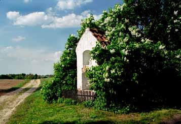 Żugienie .