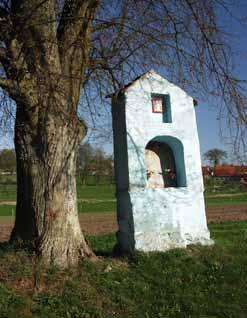 Kolumna