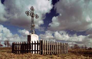 przydrożny -