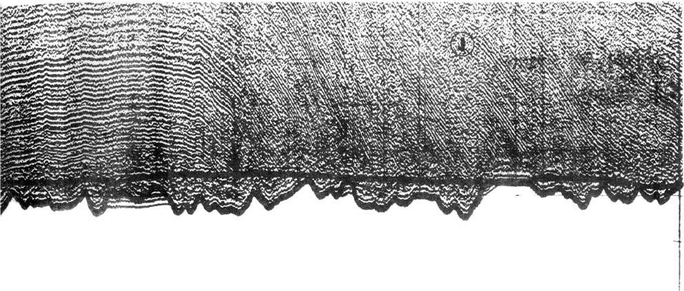 4 z³e go Bad substrate for 5 bardzo z³e go Very bad substrate for 4a py³y (mu³y) i i³y silts and clays 4b py³y (mu³y) i i³y silts and clays 4c piaski (Ps, Pd) sands 4d py³y (mu³y) i piaski pylaste