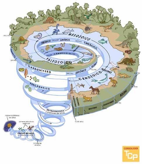 Część pierwsza. Archeologia w klasie: Treść naukowa i metodologia vering a Fossil autorstwa CSIC at School: http:// www.kids.csic.es/cuentos/cuento6a.html).