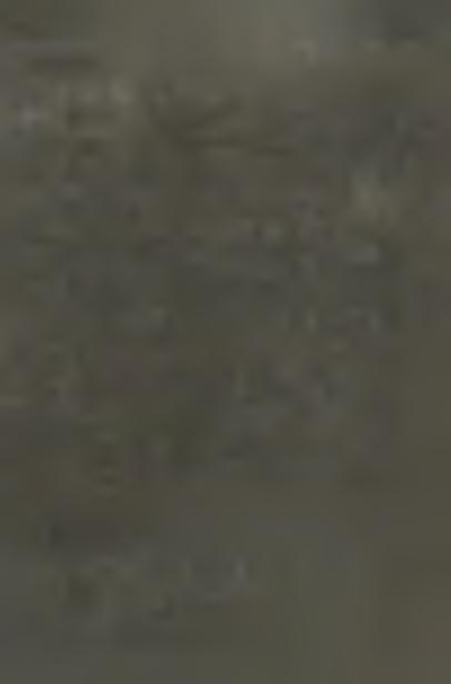 odkształconych przedstawiono w pracach [7], [8], [9], [10].