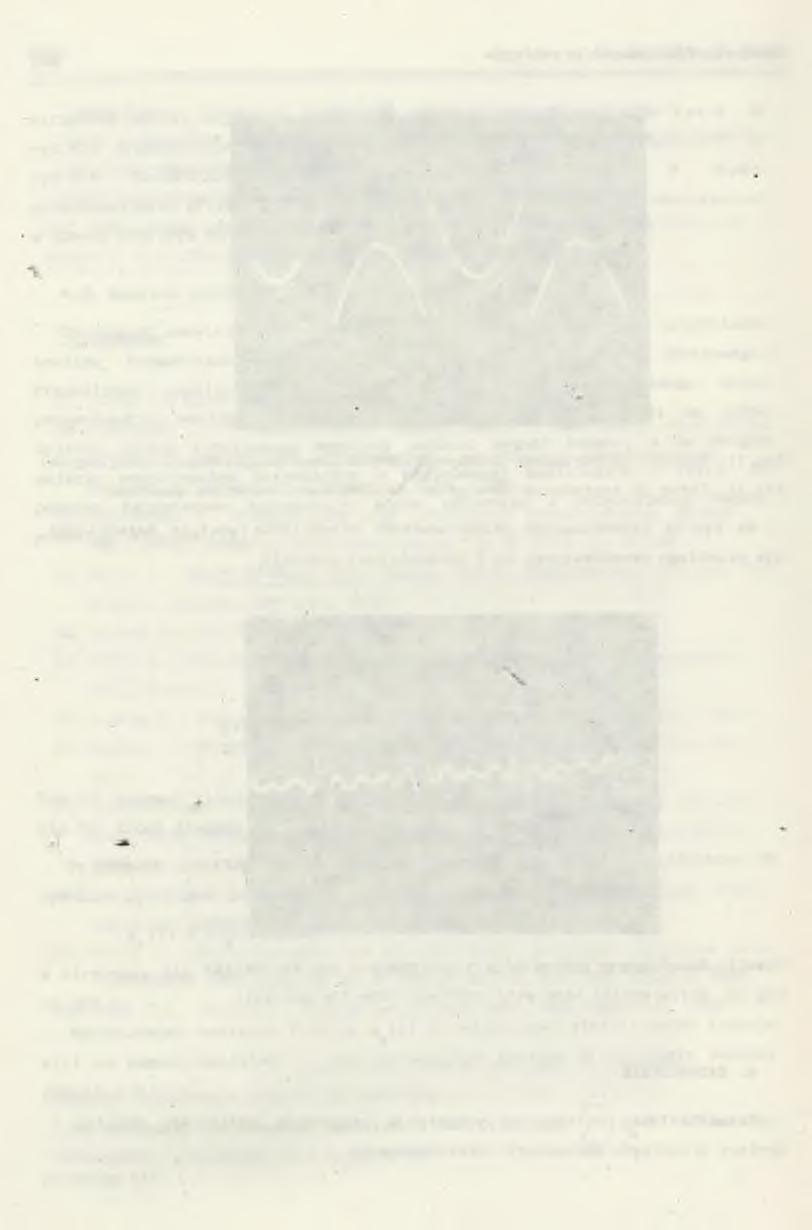 170 J. Walczak, M.