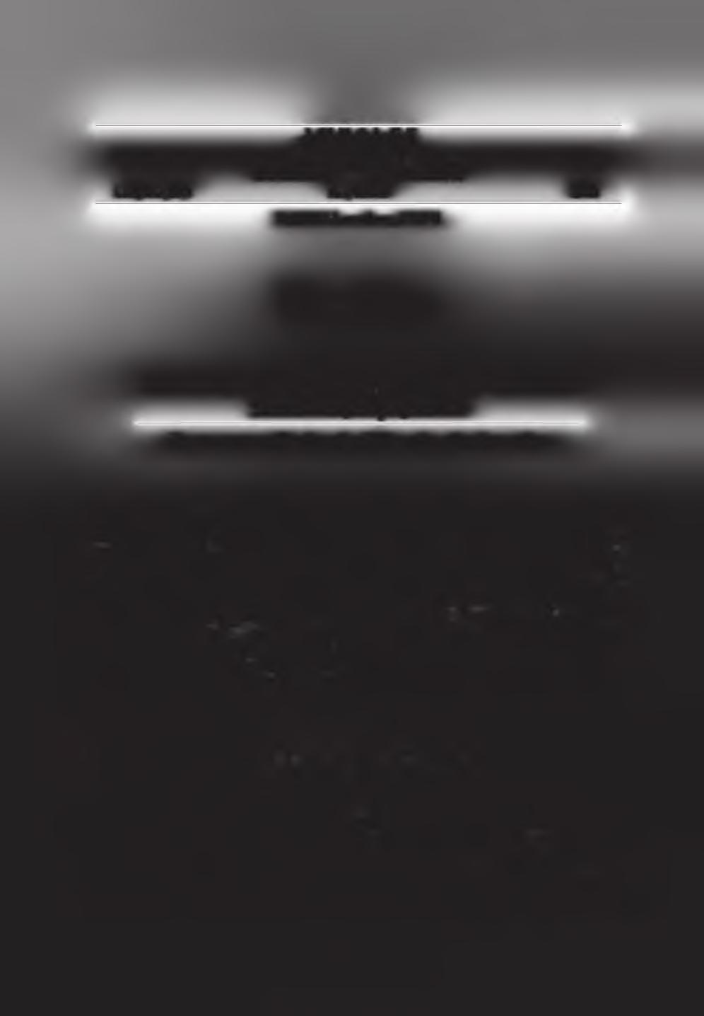 ANNALES U N IV ER SIT ATIS M ARIA E C U RI E - S K Ł O D O W S K A LU BLIN - PO LO N IA VOL.